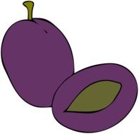graphic image of purple plums