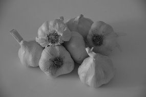 garlics on white surface