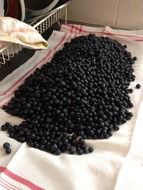 blueberry on a white towel