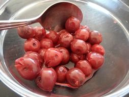 tasty and fresh morello cherries in the bowl