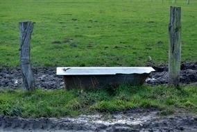 drinking trough on a pasture