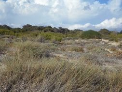 cloudy sky over dunes in mallorca