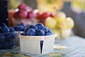 plums in a basket at the farmer's market