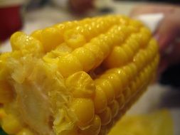 Corn is food