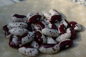 Red and white raw uncooked beans