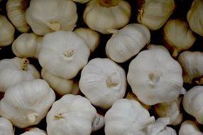 lot of garlic
