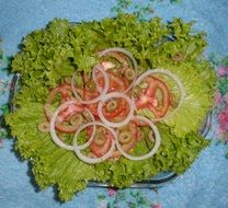 onion green salad