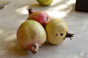 pomegranate, unripe fruits