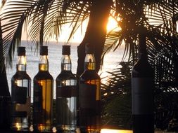 ottles with alcohol on the table at sunset