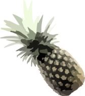 pineapple plant drawing