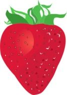 red ripe strawberry drawing