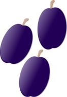 Picture of three purple plums