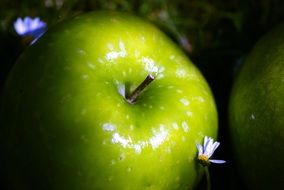 Shiny apple