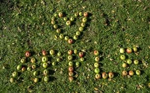 apple heart and letters