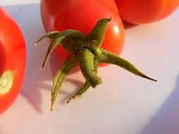 red oblong tomatoes on a white plate