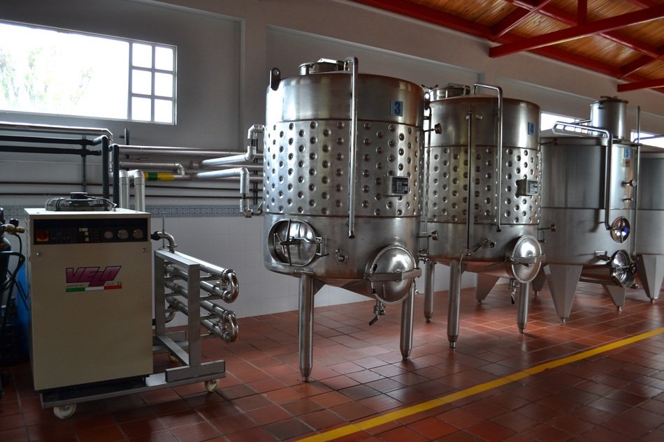 Winery in Italy