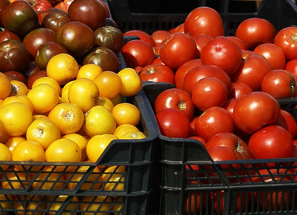 yellow, red and black tomatoes on the market
