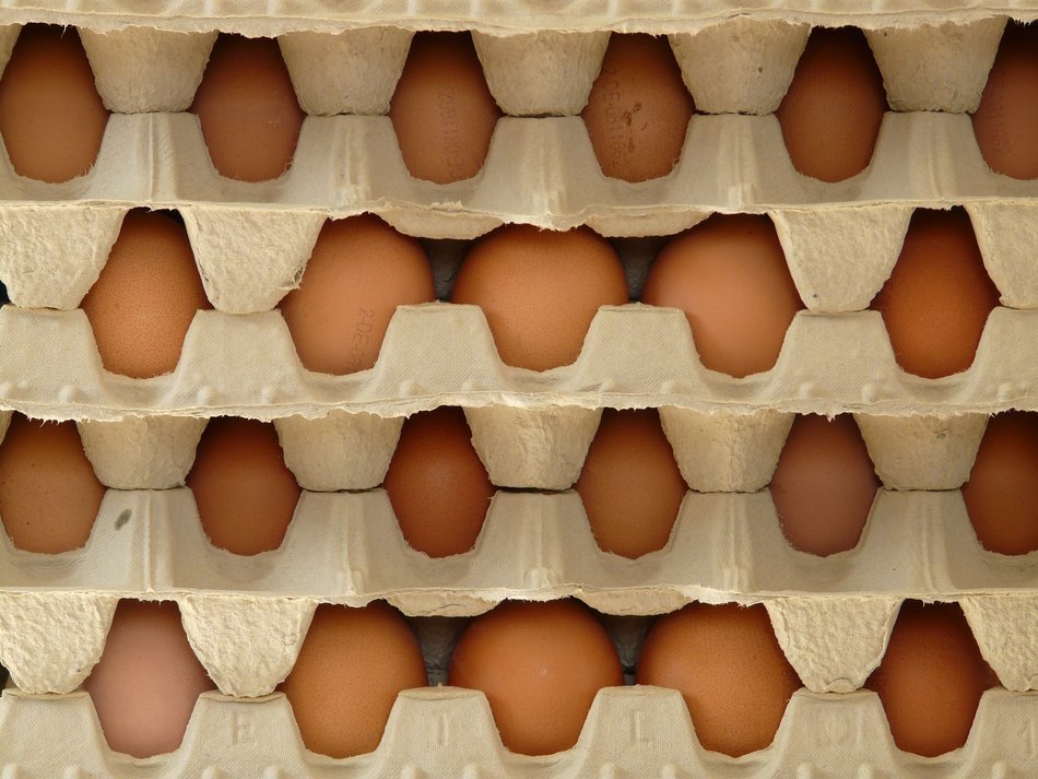 trays of eggs