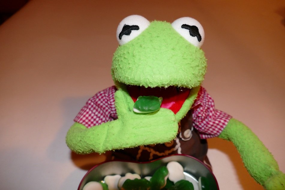 green color kermit frog doll