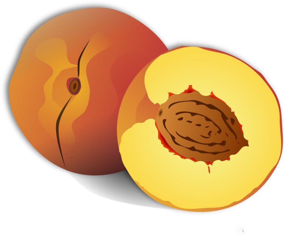 Ä°llustration of Sweet peach