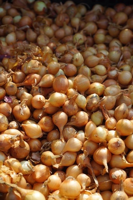 thousands of onions
