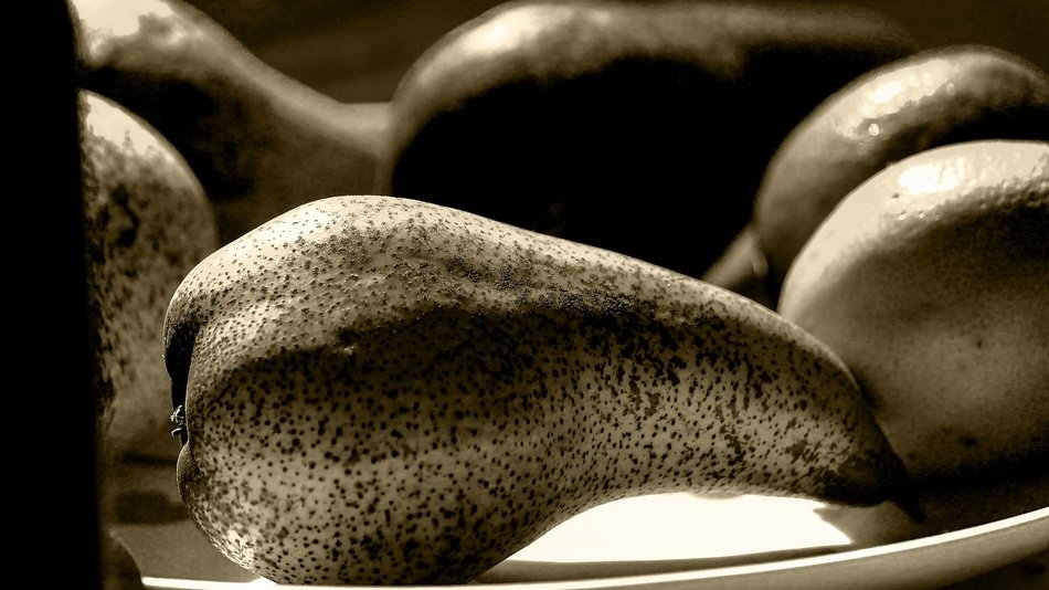 black and white photo of the pears