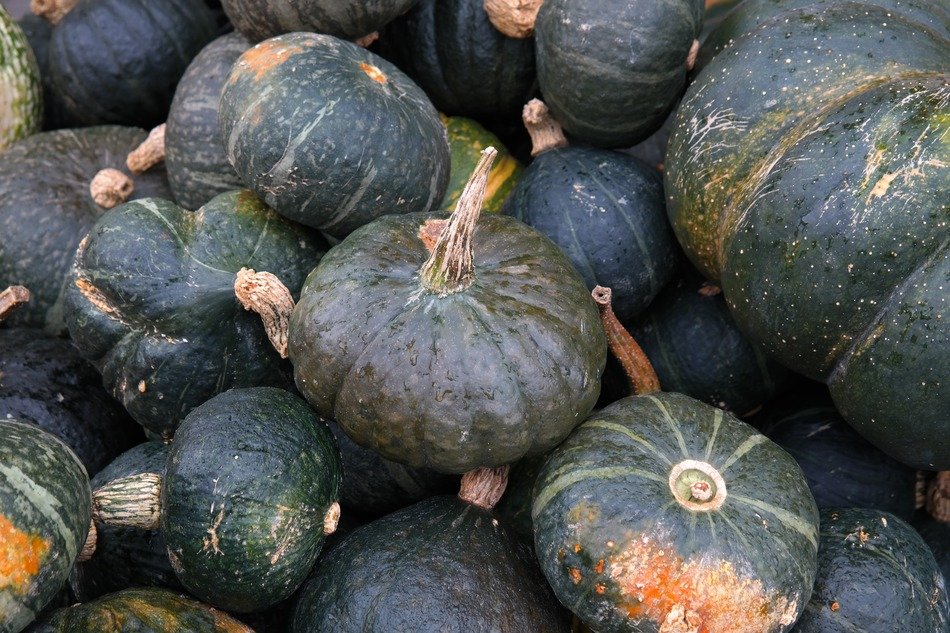round flattened squashes with deep ribbing