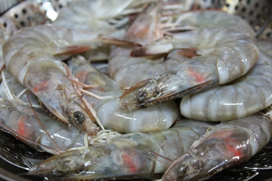 closeup photo of the steamed shrimps