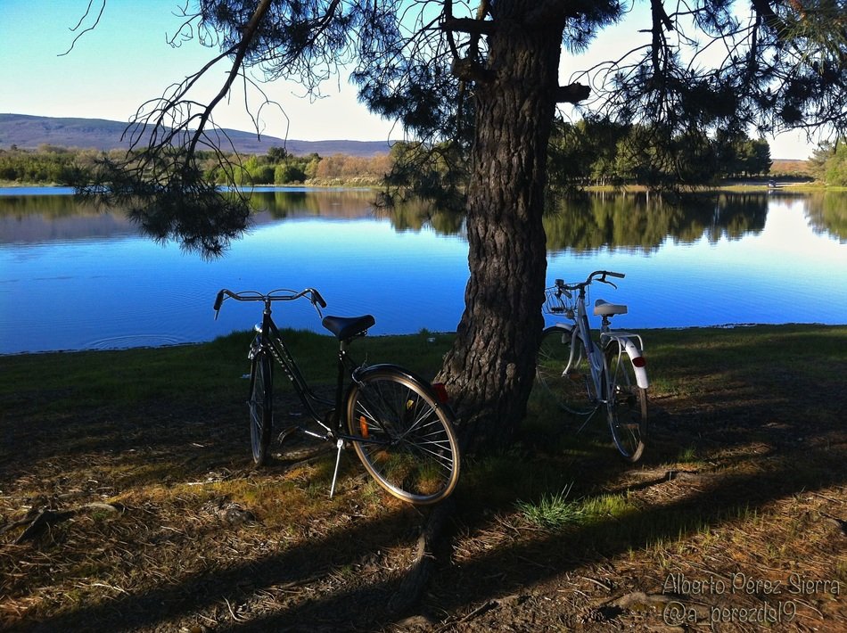 travel with bicycles