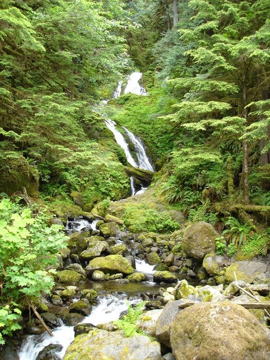 waterfall of lake quinault