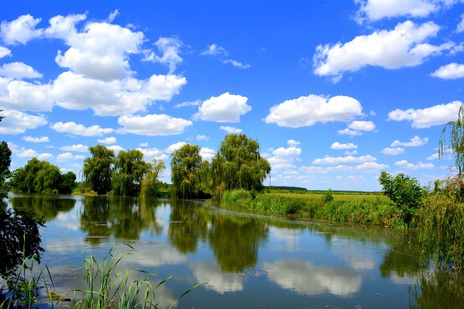 sky reflection in the water