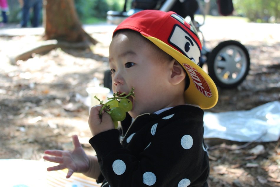 Boy is eating grapes in the Korea