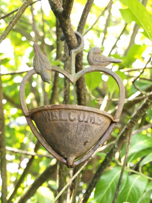 birds as a decor in the park