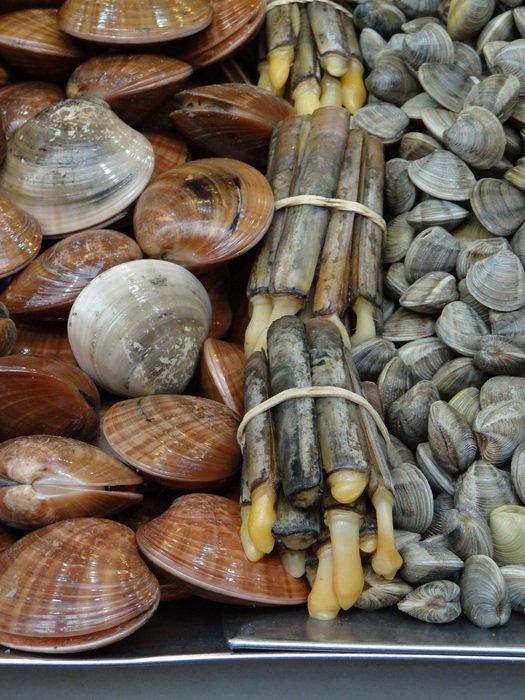 Mussels in the market in Spain
