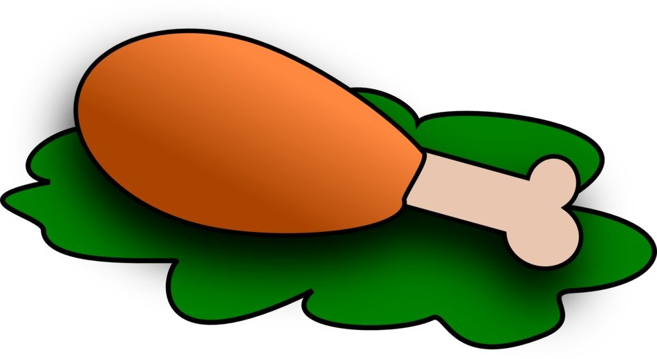 turkey drumstick on a green leaf