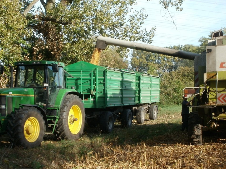 Combine for collecting corns in Rheinhausen