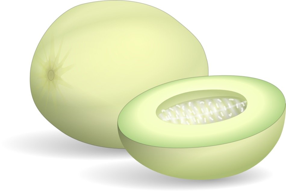 clipart of the honeydew melon