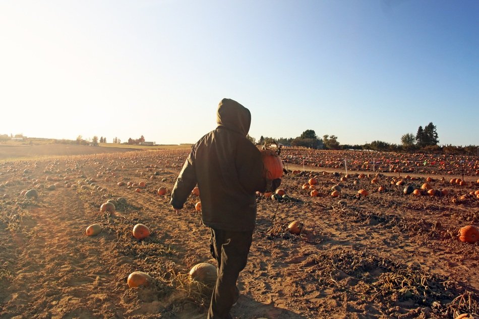 man and pumpkin
