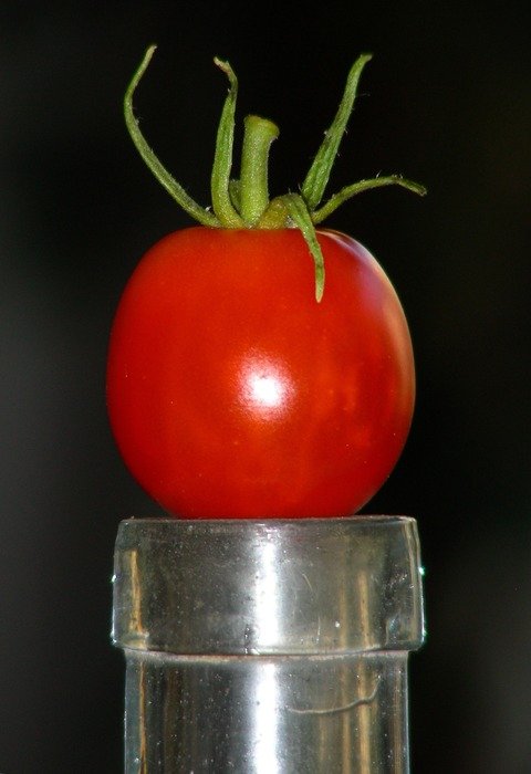 red tomato on the bottle