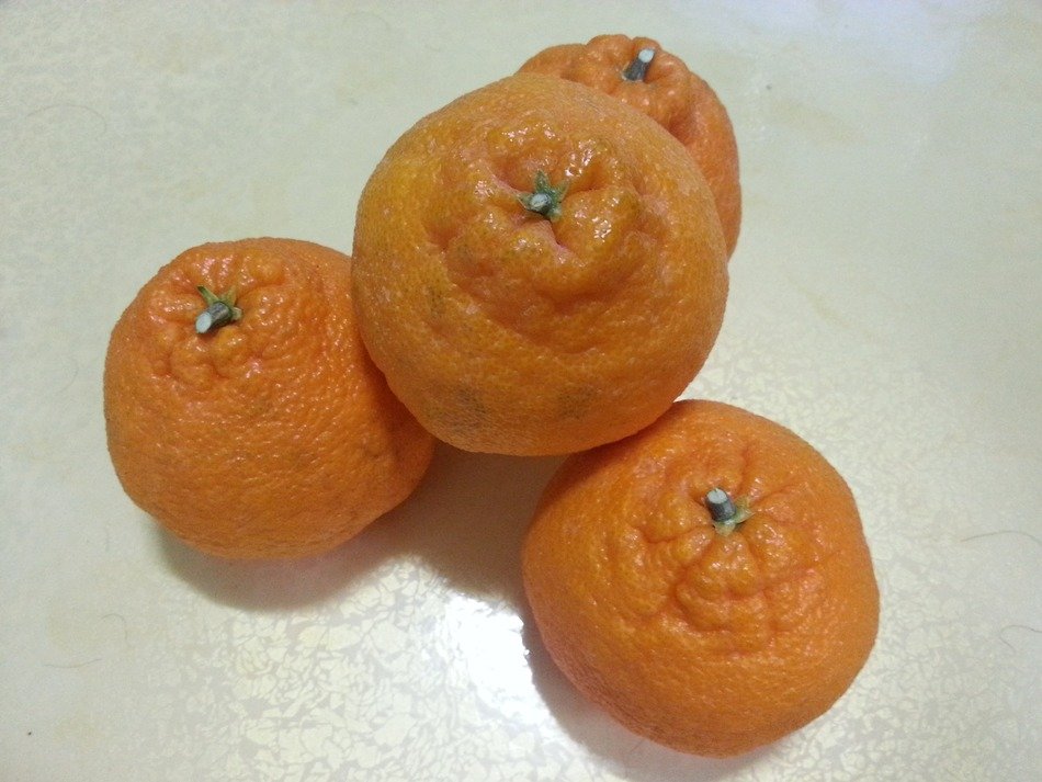 hallabong fruit