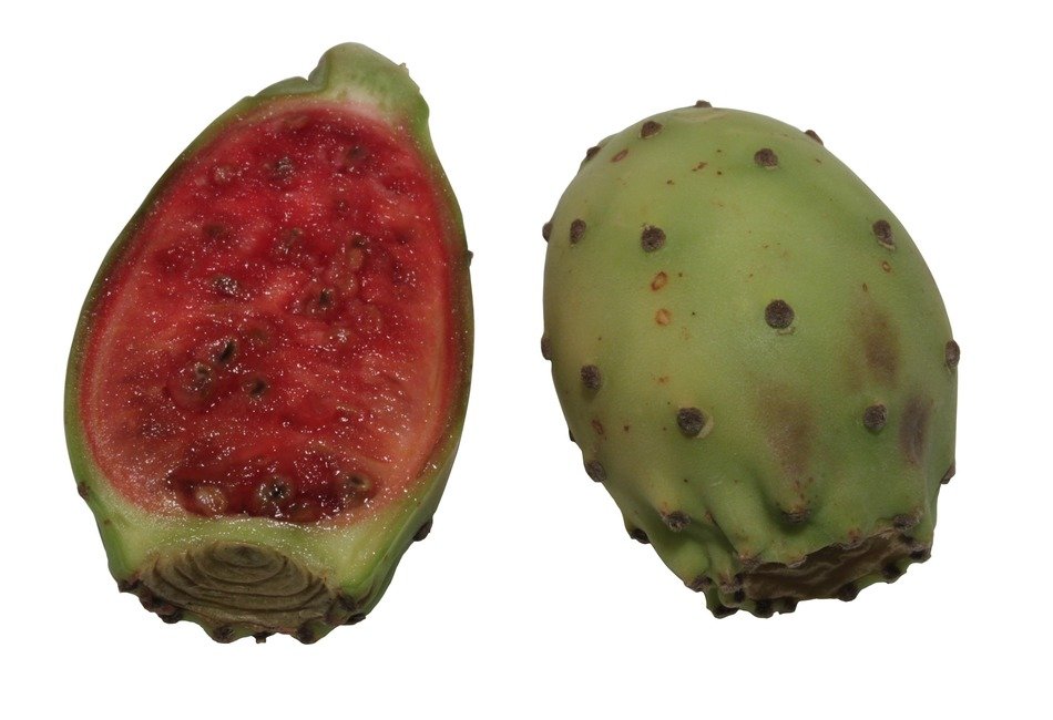 cactaceae cacti fruit