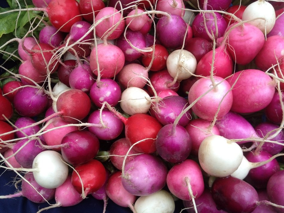 Pink radishes in the market