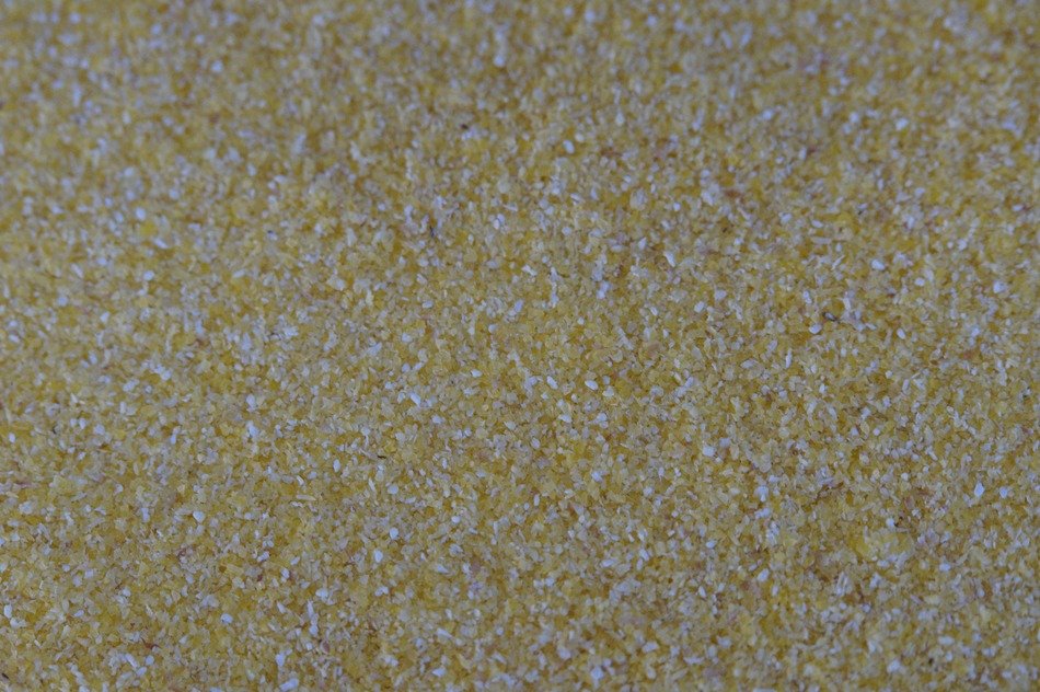 cornmeal closeup