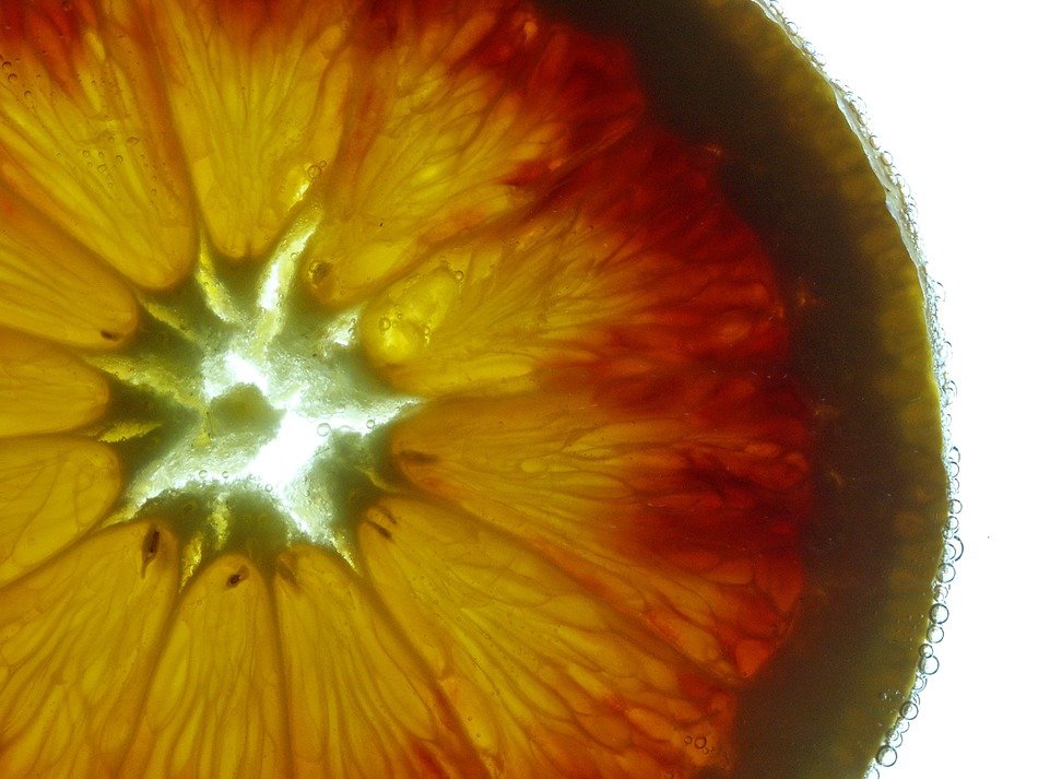orange slice in the light