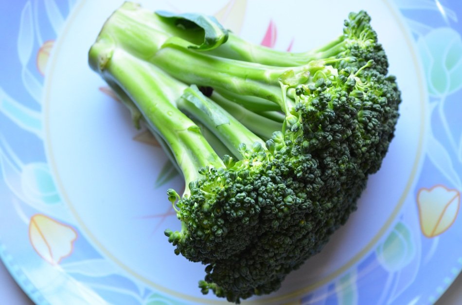 green broccoli on a blue plate