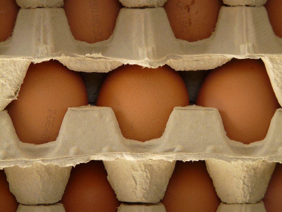 eggs in cardboard trays
