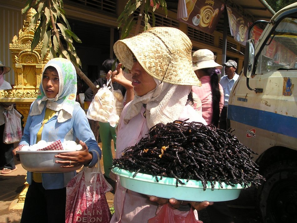 fried tarantulas in cambodia