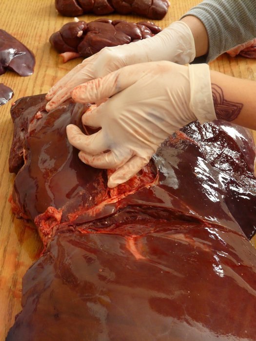 Meat of bovine liver