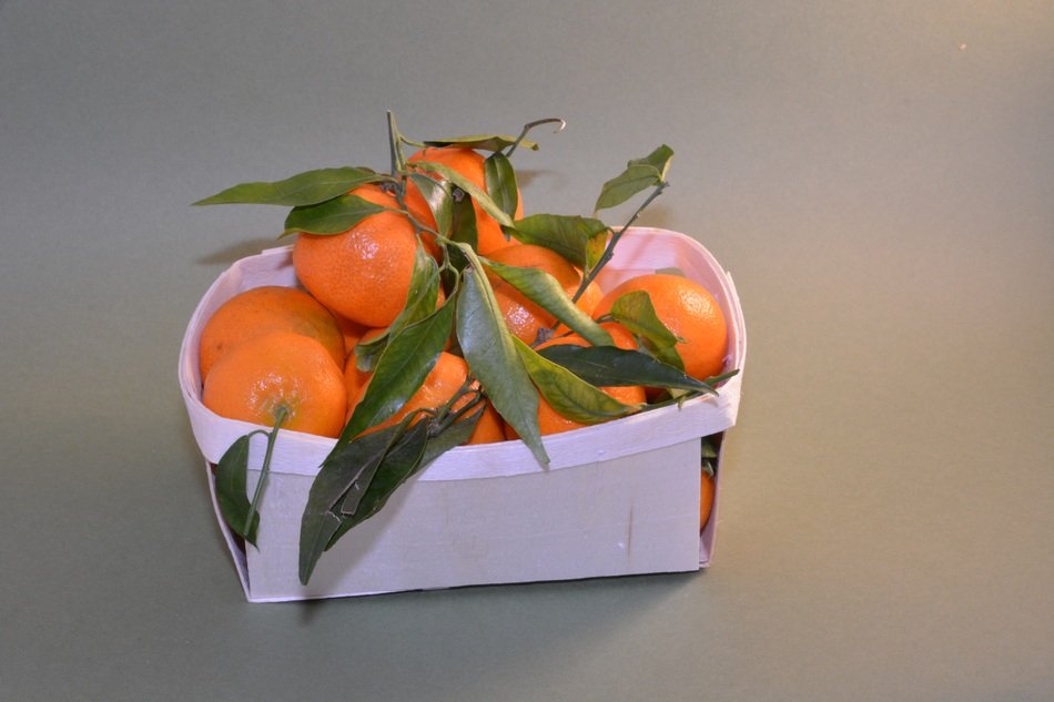 mandarins with leaves in white box