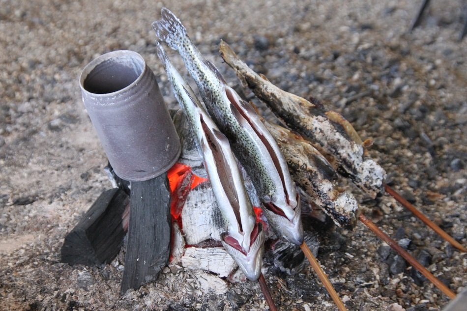 fish on sticks over the fire